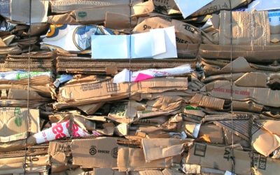 Recyclage : la politique Zéro Importation met à mal la filière papier/carton française